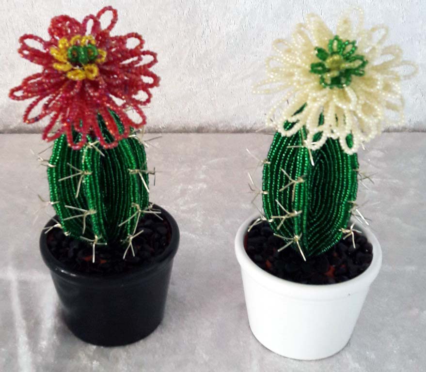 Små kaktus-05