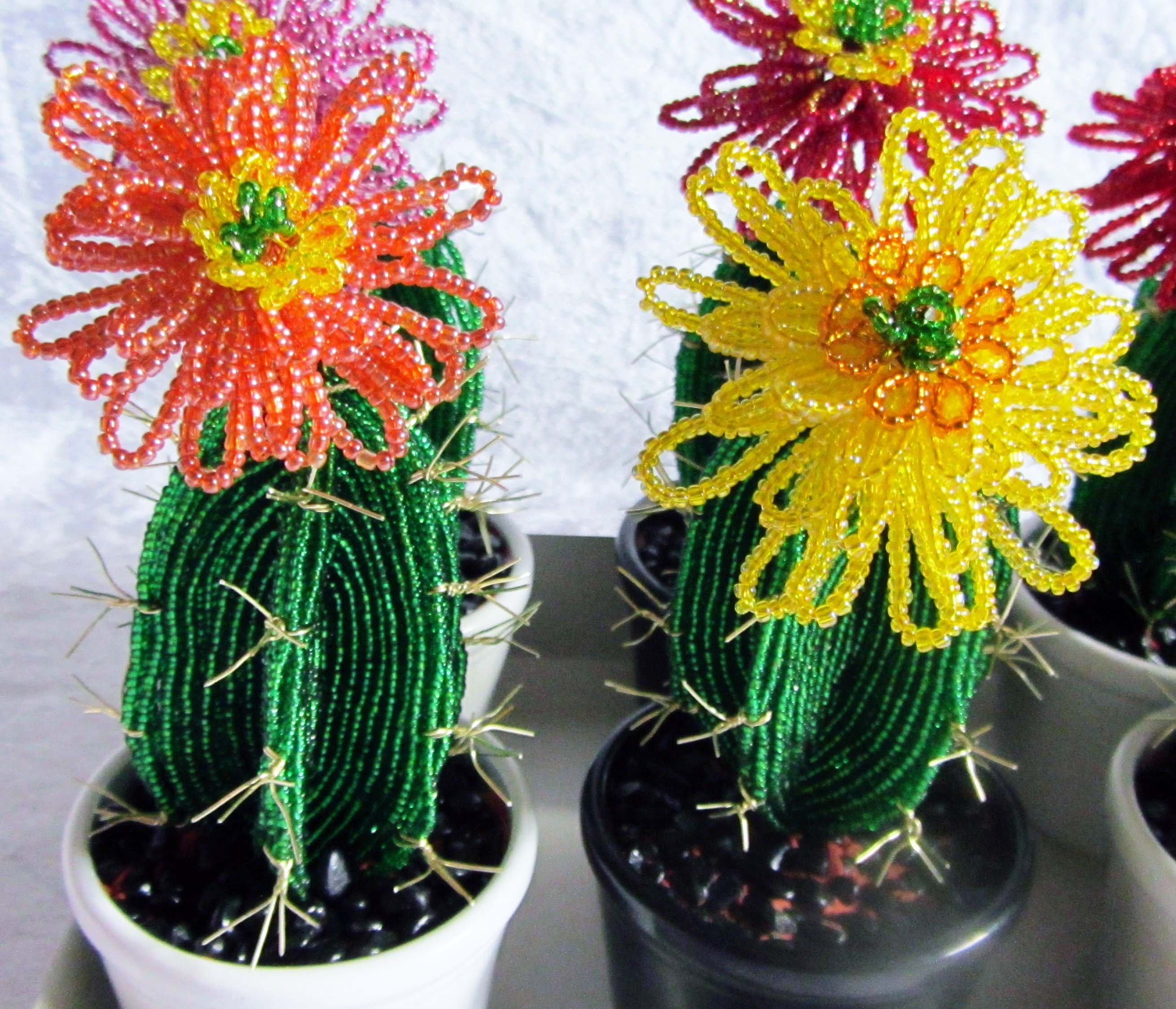 Små kaktus-08