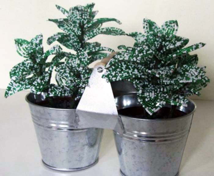 Grøn plante1-03